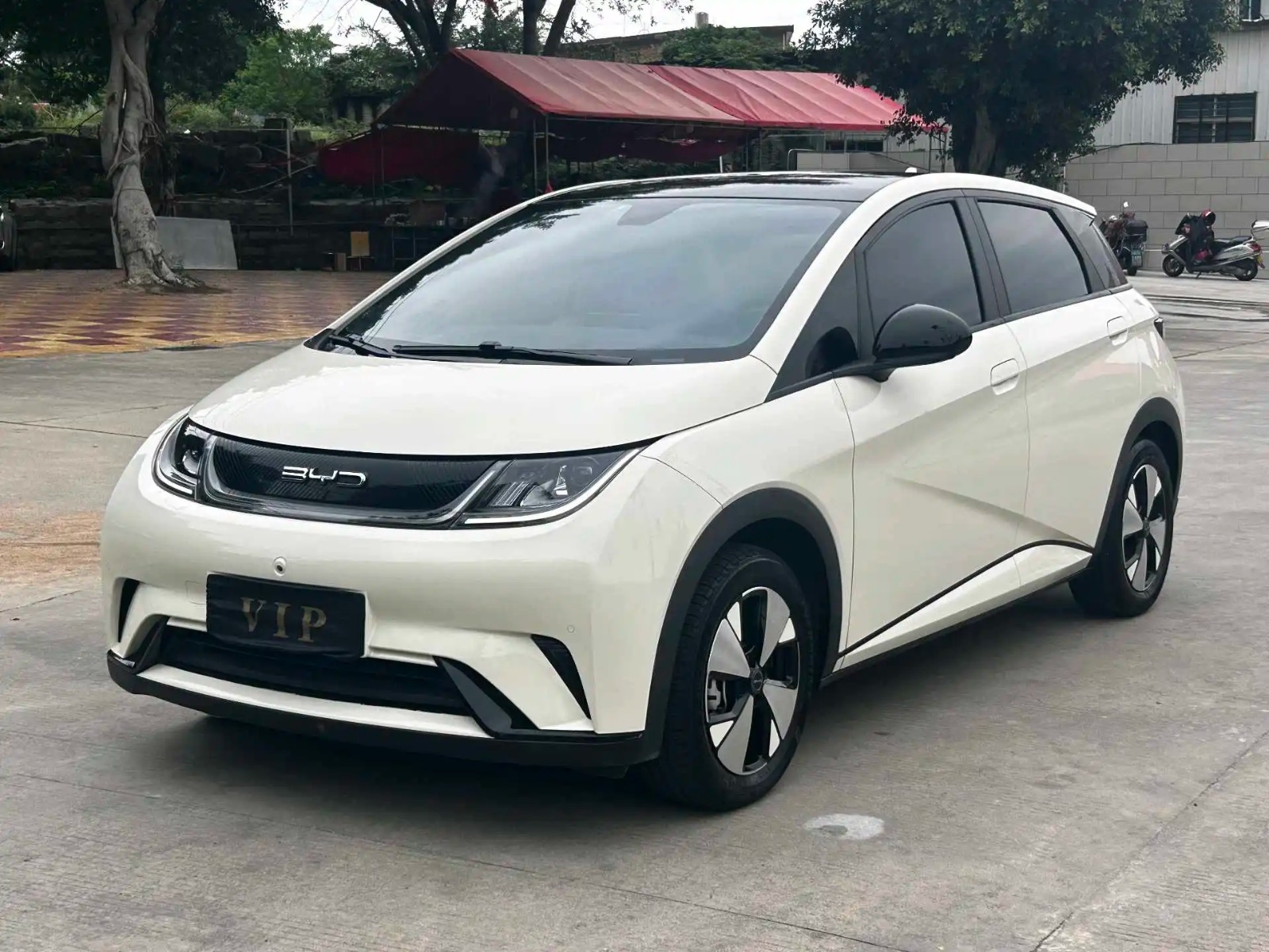BYD 2023 Dolphin