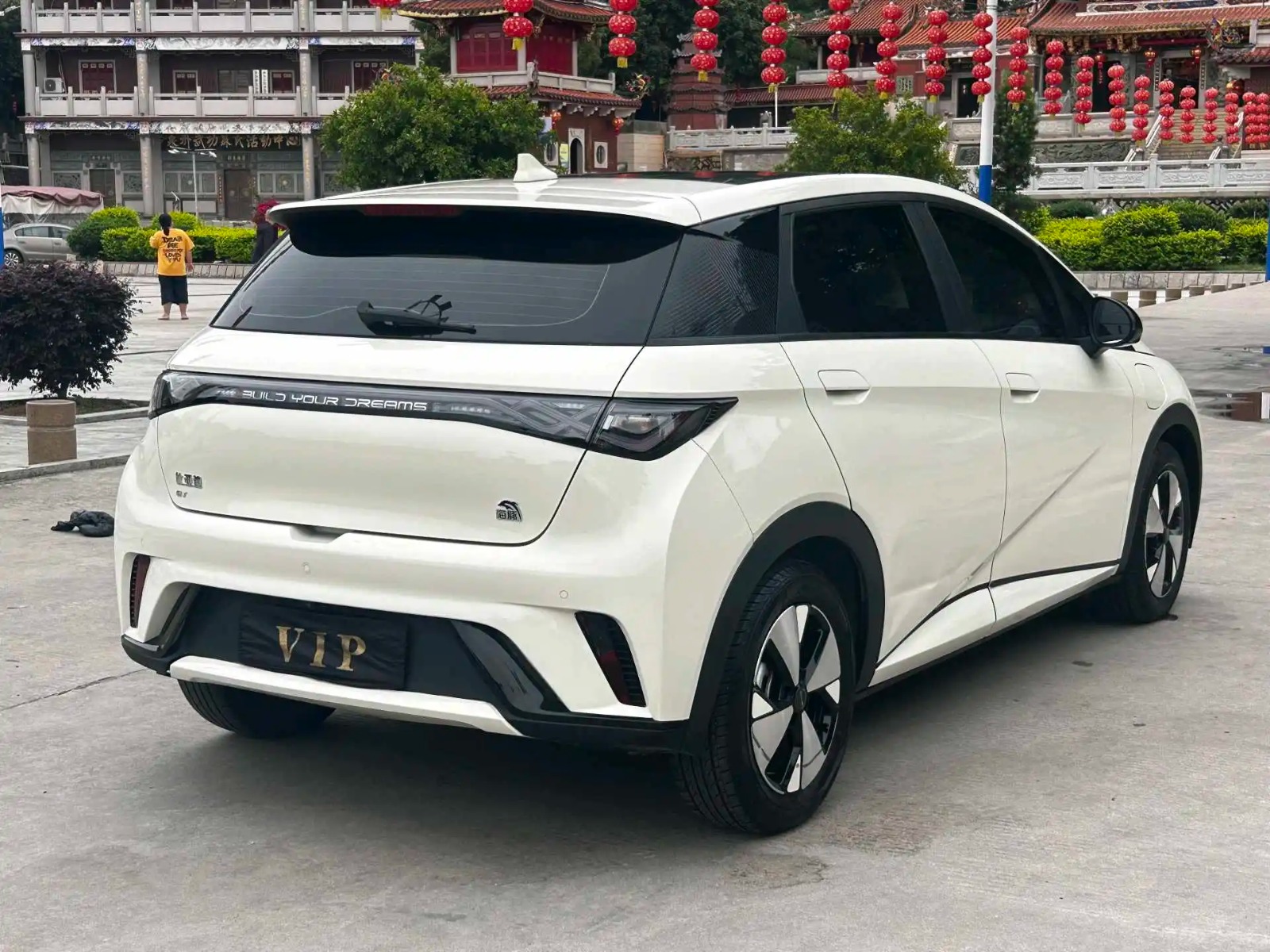 BYD 2023 Dolphin