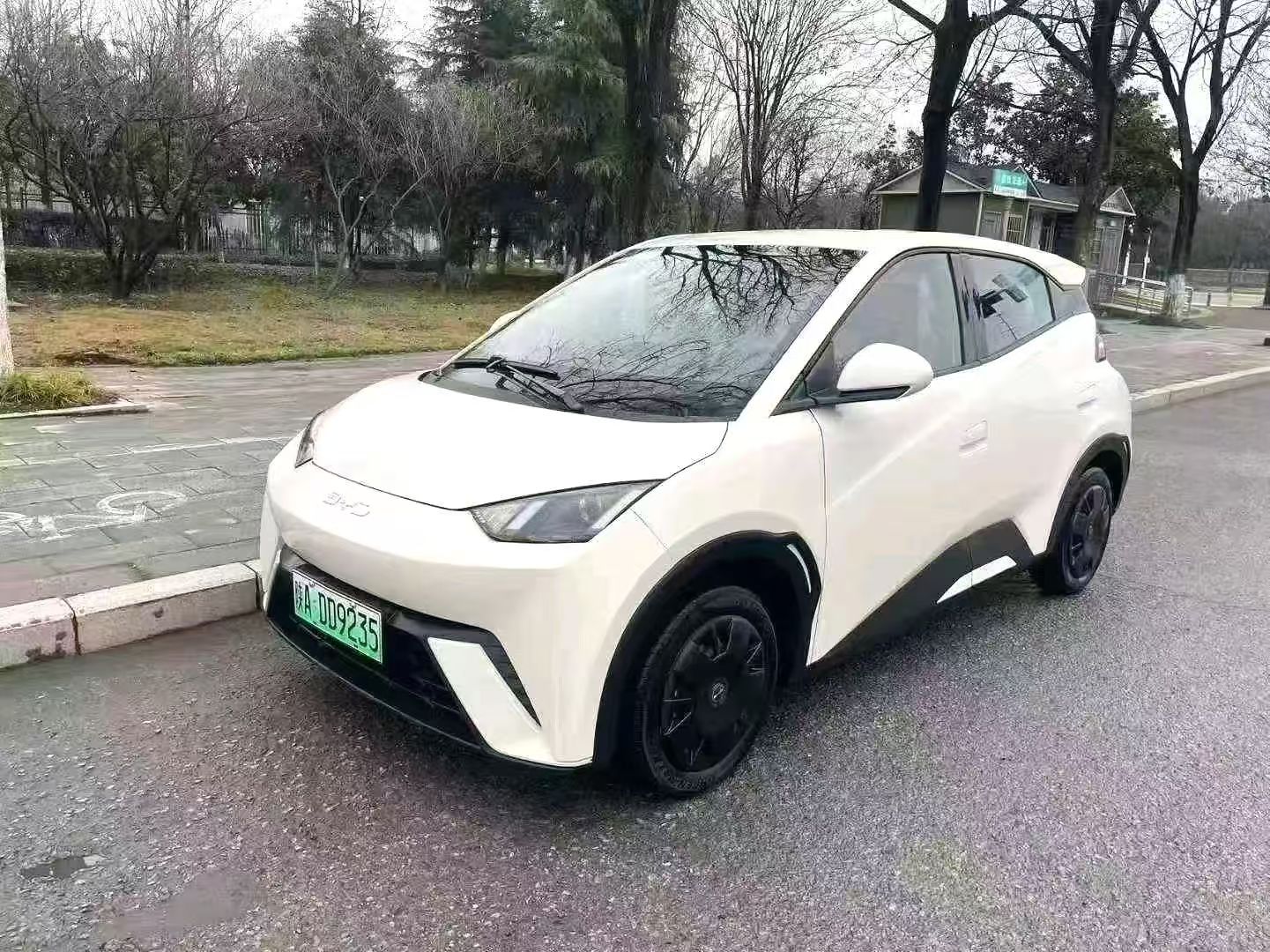 BYD Seagull
