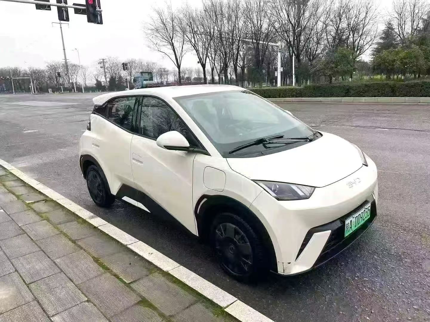 BYD Seagull