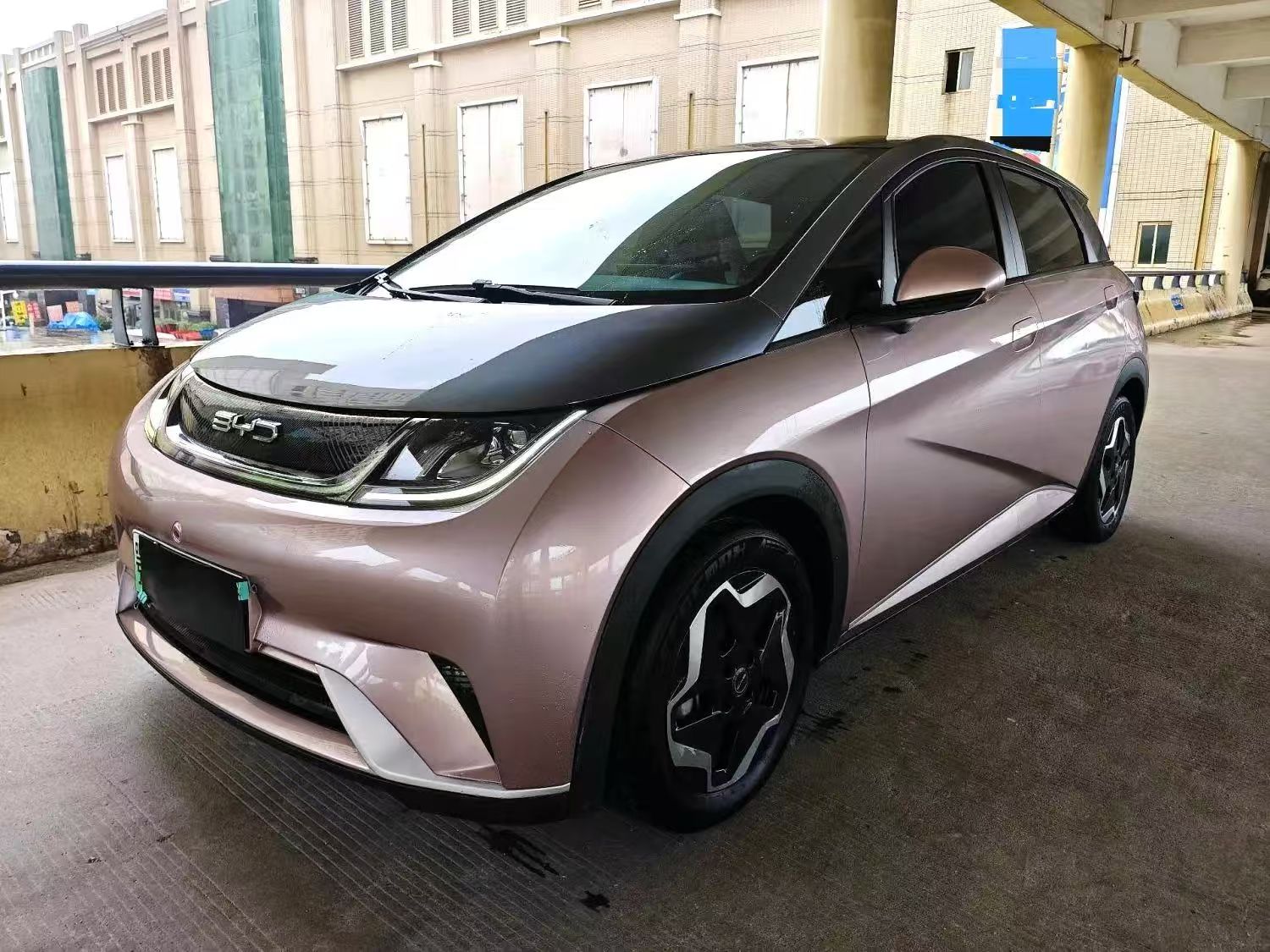 BYD Dolphin